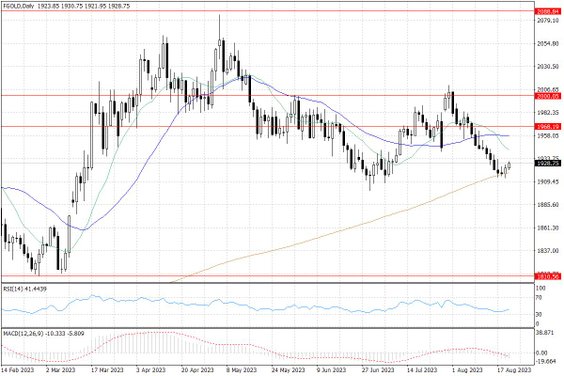Notowania złota – dane dzienne