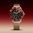 Omega Seamaster 300M Bronze Gold.