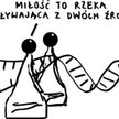 Rysuje Janusz Kapusta