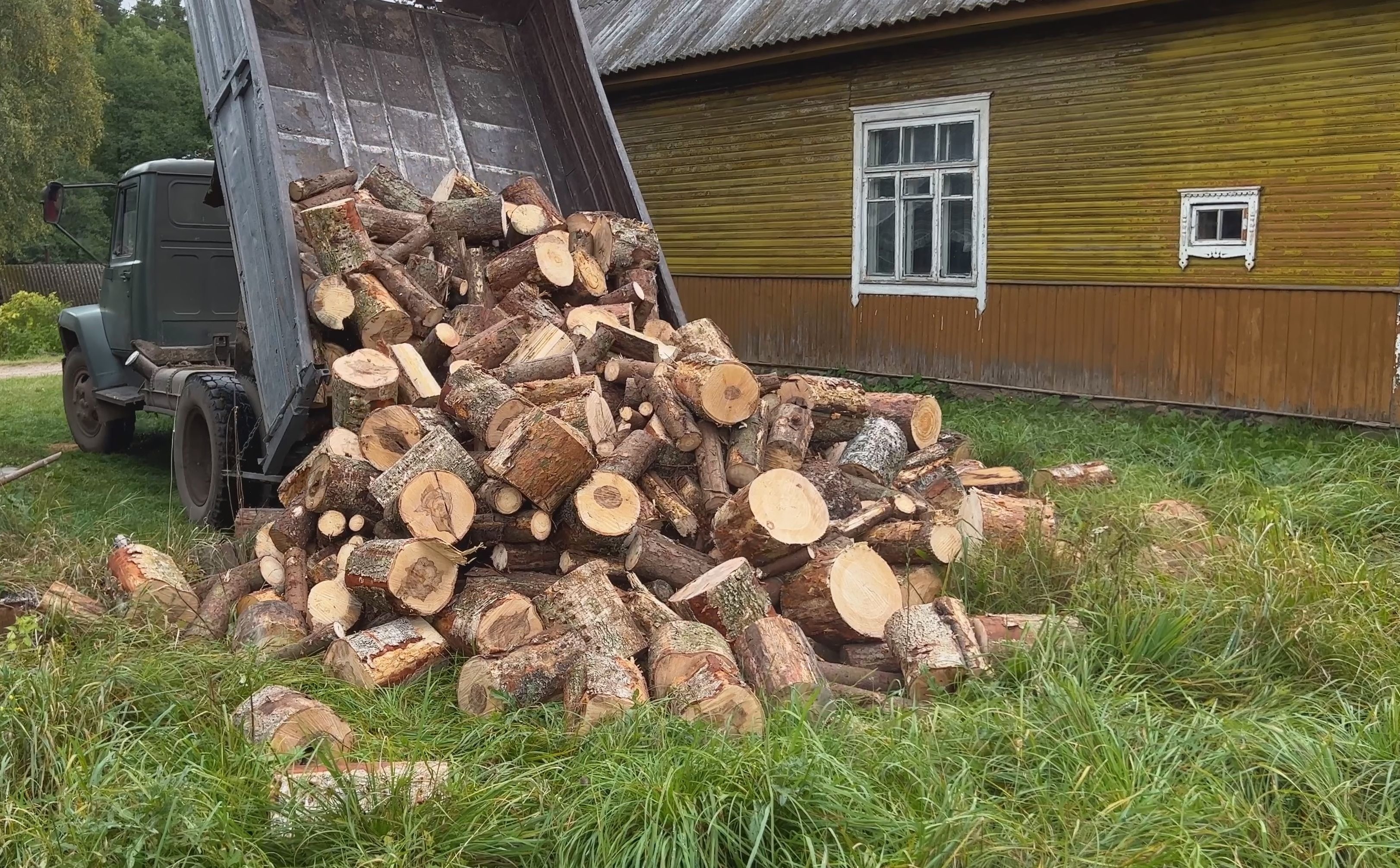 Przywłaszczył pocięte drewno. Sąd Najwyższy: to nie kradzież drzewa