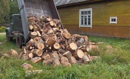 Przywłaszczył pocięte drewno. Sąd Najwyższy: to nie kradzież drzewa