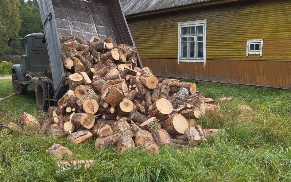 Przywłaszczył pocięte drewno. Sąd Najwyższy: to nie kradzież drzewa