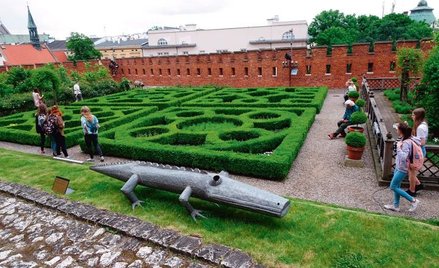 Krokodyl Józefa Wilkonia w ogrodach na Wawelu. Wystawa czynna do początku września