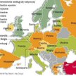 Polski menedżer w cenie
