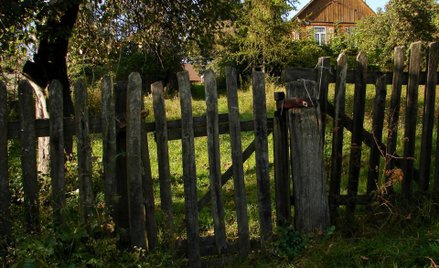 Odwołanie darowizny: postawienie płotu to nie rażąca niewdzięczność