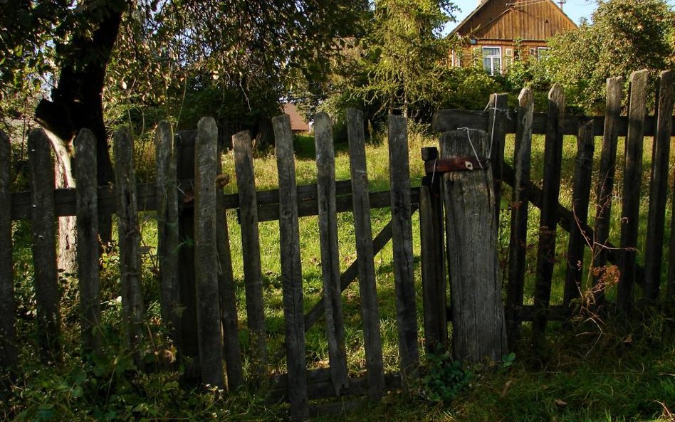 Odwołanie darowizny: postawienie płotu to nie rażąca niewdzięczność