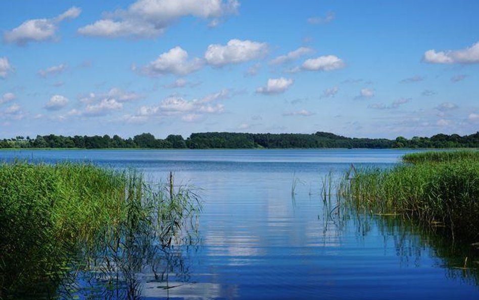 Prawo pierwokupu przy sprzedaży gruntów pod niektórymi wodami