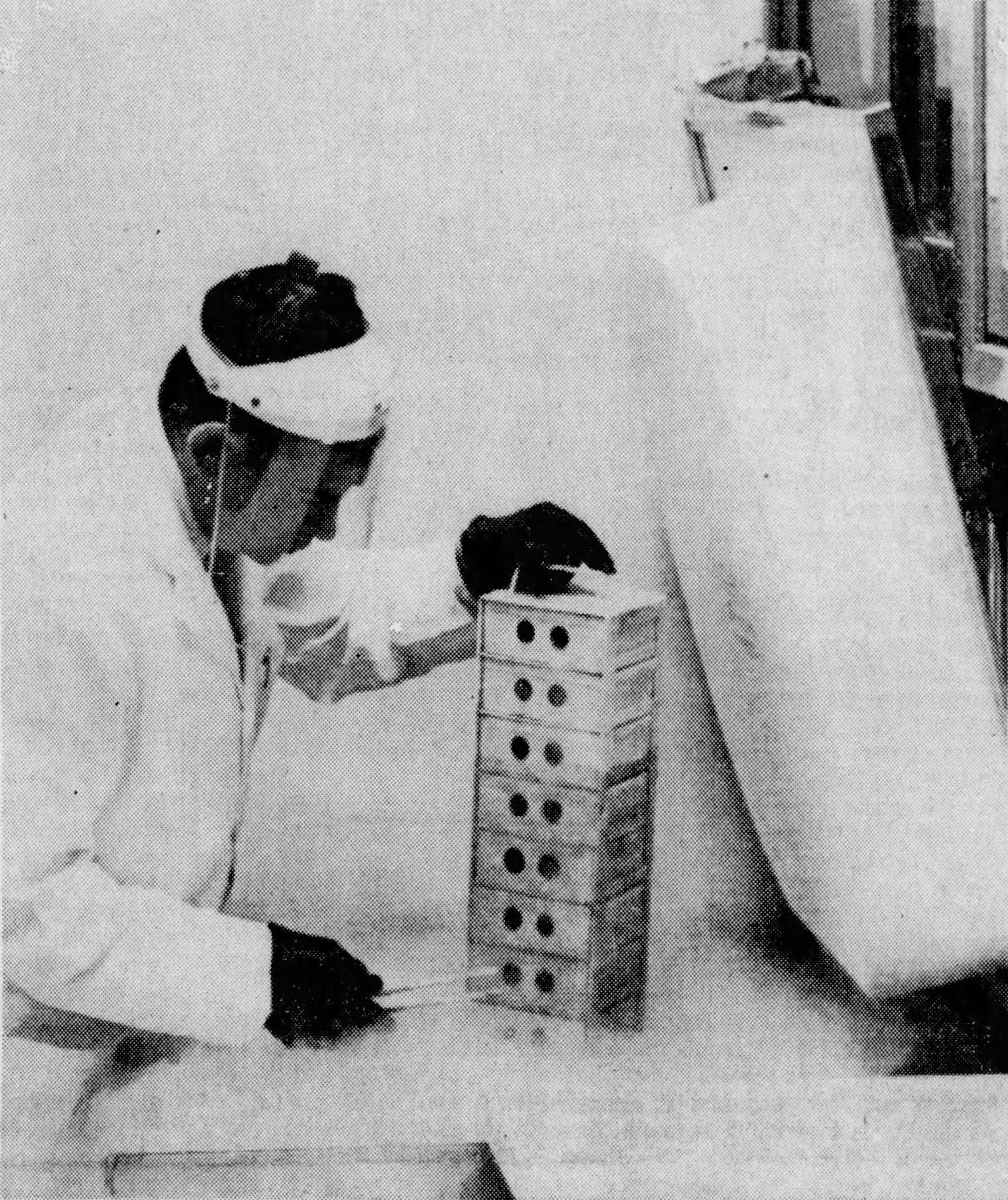 Wykorzystywanie ludzkich tkanek: od „nauka bierze, co chce” do ścisłego reżimu