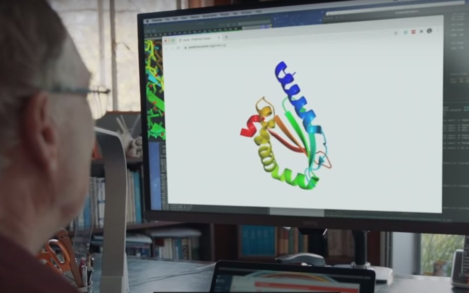 AI rozszyfrowała struktury ludzkich białek. Przełom w medycynie
