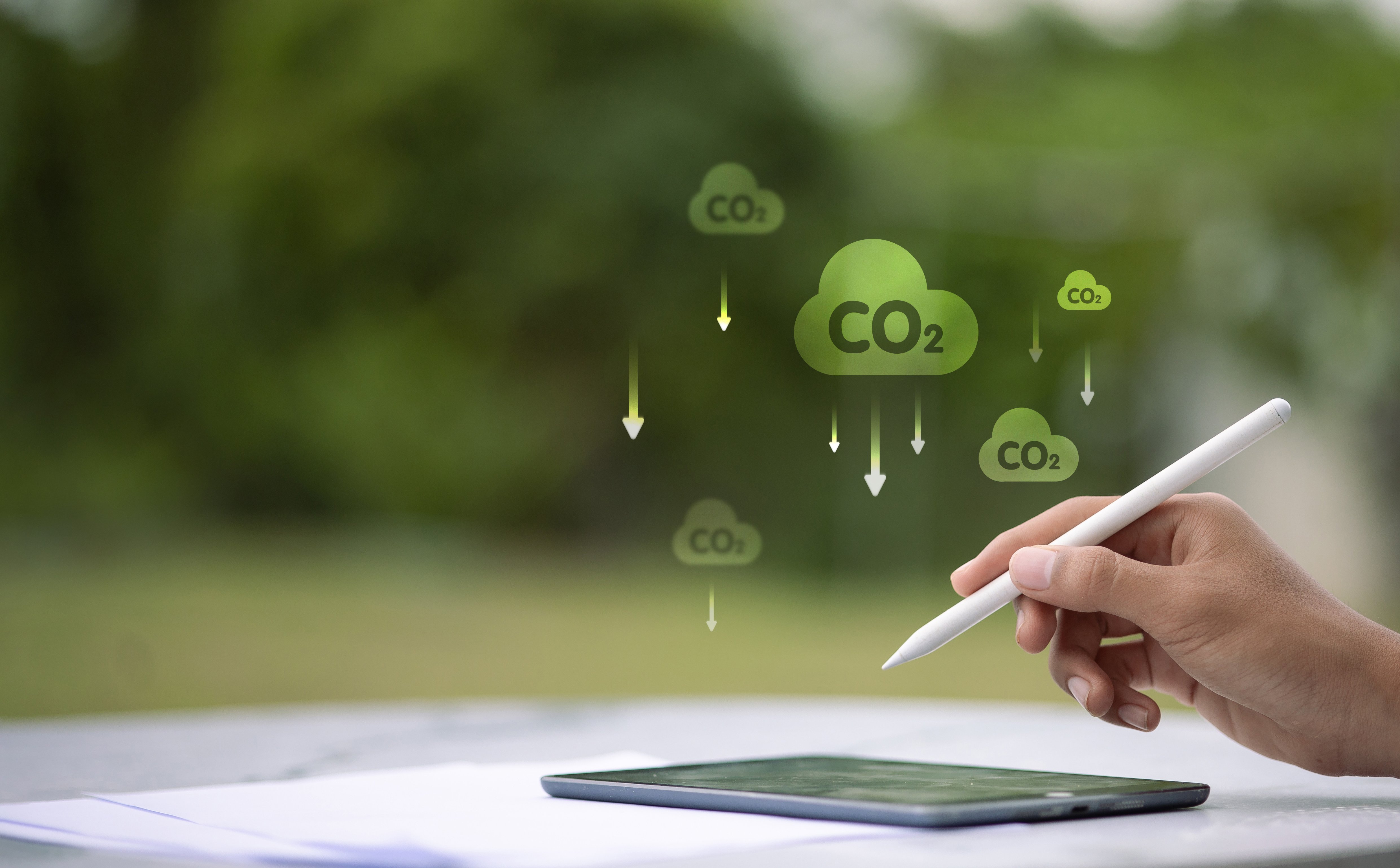 Allegro, DHL, DPD i InPost podejrzane o ekościemę. UOKiK stawia zarzuty