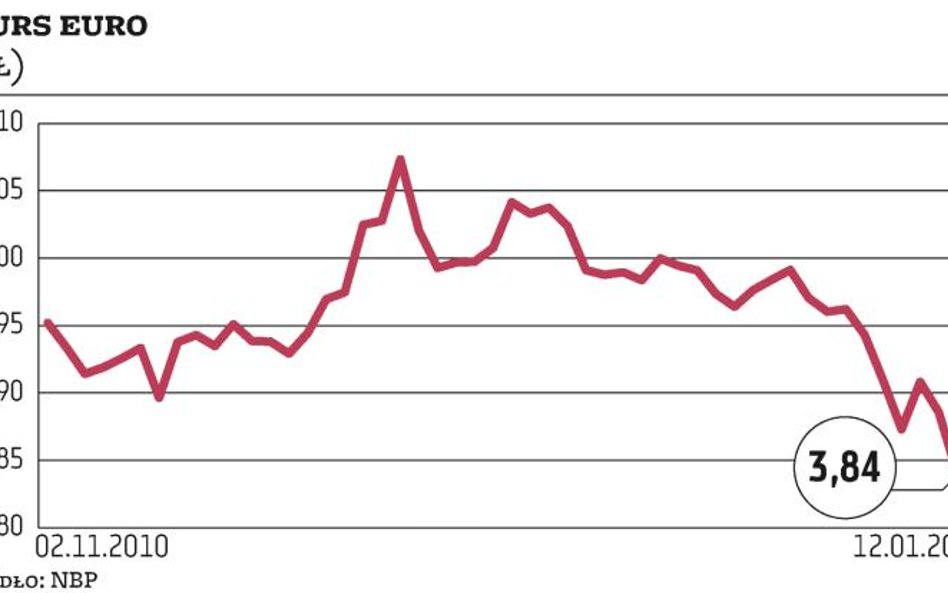 Członkowie RPP umocnili złotego