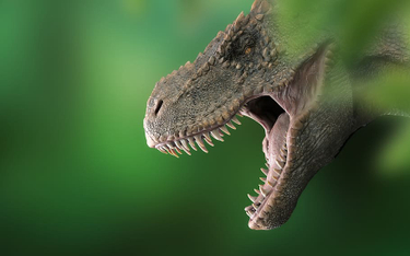 Co z karłowatymi tyranozaurami? Prawdopodobnie nie istniały