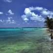 Plaża w Tuvalu