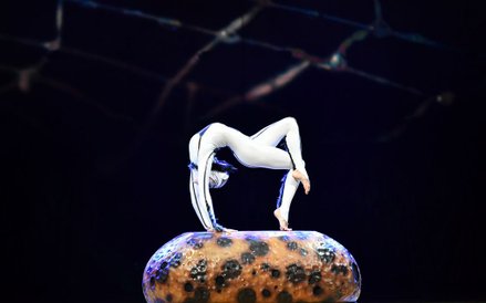 Kanadyjski cyrk nowego typu zbudował swoją legendę, odrzucając tresurę zwierząt i całkowicie koncent