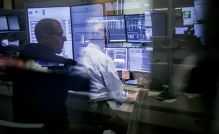 Hossa, karaluchy i Omen na Wall Street