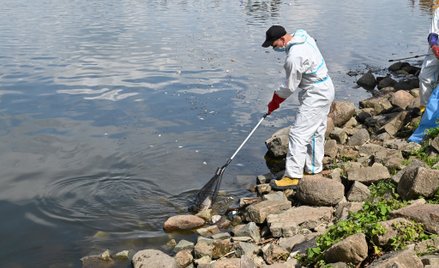 Tomasz Terlikowski: W poszukiwaniu kozłów ofiarnych