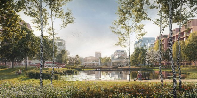 Zamiast odprowadzać deszczówkę do kanalizacji, będzie ona zasilać lokalne ogrody deszczowe, tworząc 