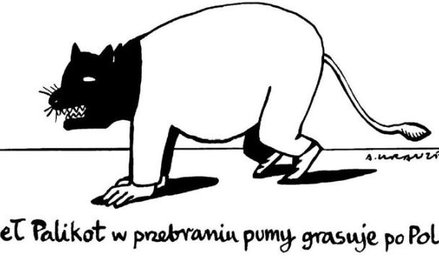 Komentarz rysunkowy