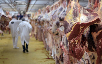 Gobarto: mięso wołowe to dla nas marginalna część biznesu