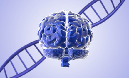Homo sapiens osiągnęli sukces ewolucyjny m.in. dzięki zmianom w biochemii mózgu