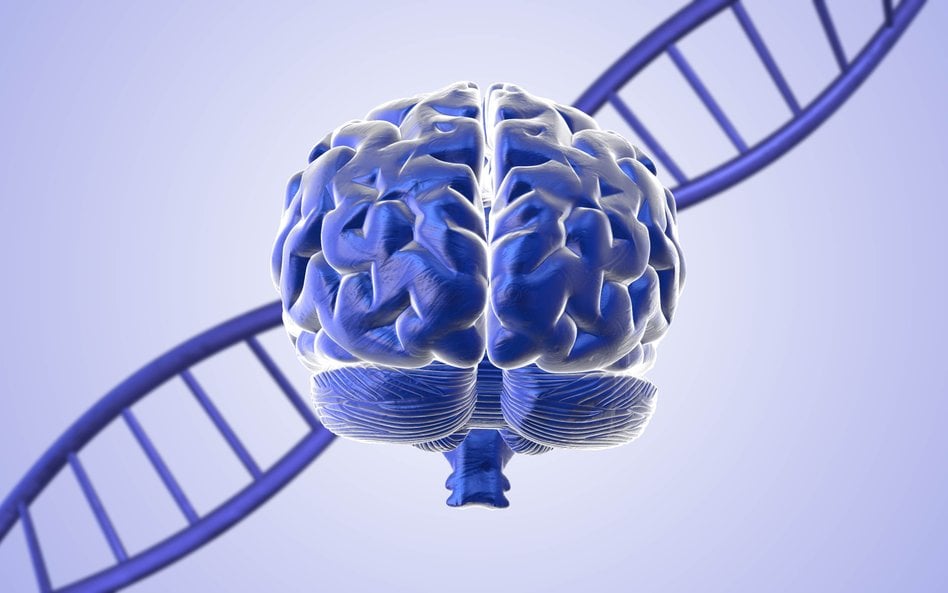 Homo sapiens osiągnęli sukces ewolucyjny m.in. dzięki zmianom w biochemii mózgu
