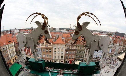 Dlaczego w Poznaniu się udało