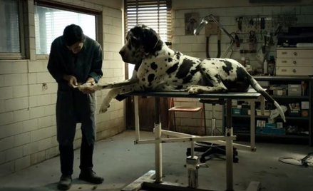 Świat według Matteo Garrone