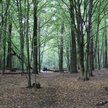 Chcemy się rozwijać, ale utrzymać tożsamość miasta-ogrodu – mówi Mirosław Wilusz, zastępca burmistrz