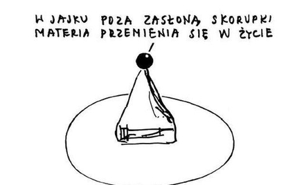 Rysuje Janusz Kapusta