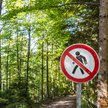 Koronawirus: Zakaz wchodzenia do lasu. RPO: na jakiej podstawie?