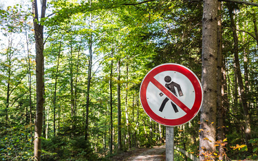 Zakaz wstępu do lasu obywatel powinien móc zaskarżyć - kasacje RPO