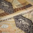 Polski złoty przyhamował. Jaki będzie w drugim półroczu?