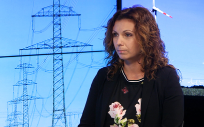 Gawlikowska-Fyk: Polityka energetyczna państwa powinna się bardzo zmienić