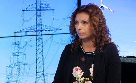 Gawlikowska-Fyk: Polityka energetyczna państwa powinna się bardzo zmienić