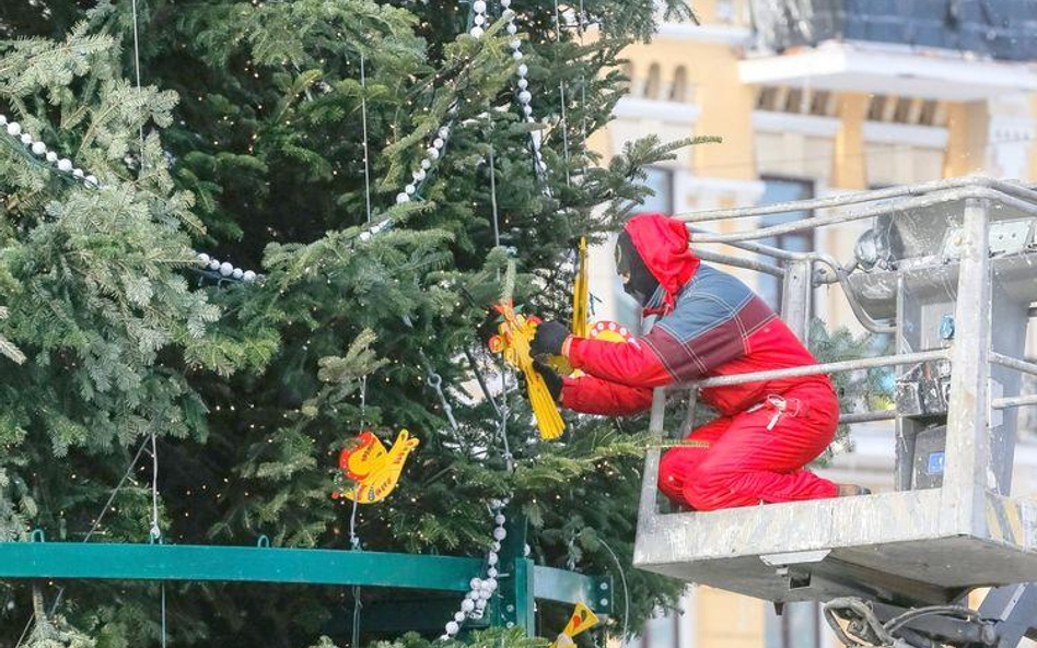 Choinka na Placu Weneckim do poprawki