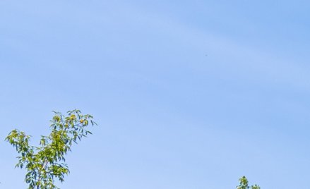 Spółdzielnie mieszkaniowe wskazują cztery największe wady reformy