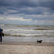 Na plażę z psem? Coraz częściej tak