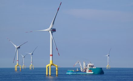 Famur wejdzie na Bałtyk? Jest francuska propozycja