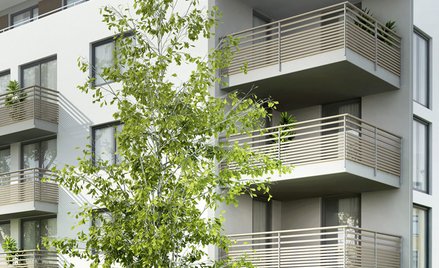 Średnie ceny ofertowe mieszkań z rynku wtórnego wzrosły we wszystkich miastach wojewódzkich z wyjątk