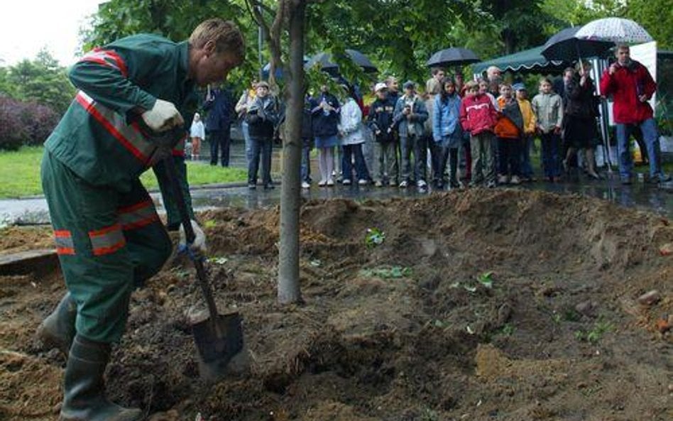 Czy wspólnota może płacić za pielęgnację miejskiej zieleni