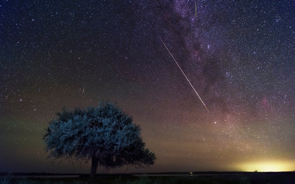 Szczyt aktywności roju Perseidów przypada na połowę sierpnia