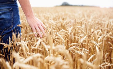 Ukraina trzecim eksporterem produkcji rolnej do Unii