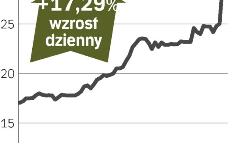 Akcje Azotów Tarnów podro?a?y o ponad 17 procent