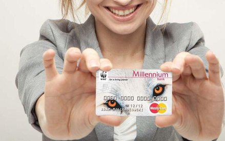 Bank Millennium proponuje karty partnerskie wspólnie z WWF