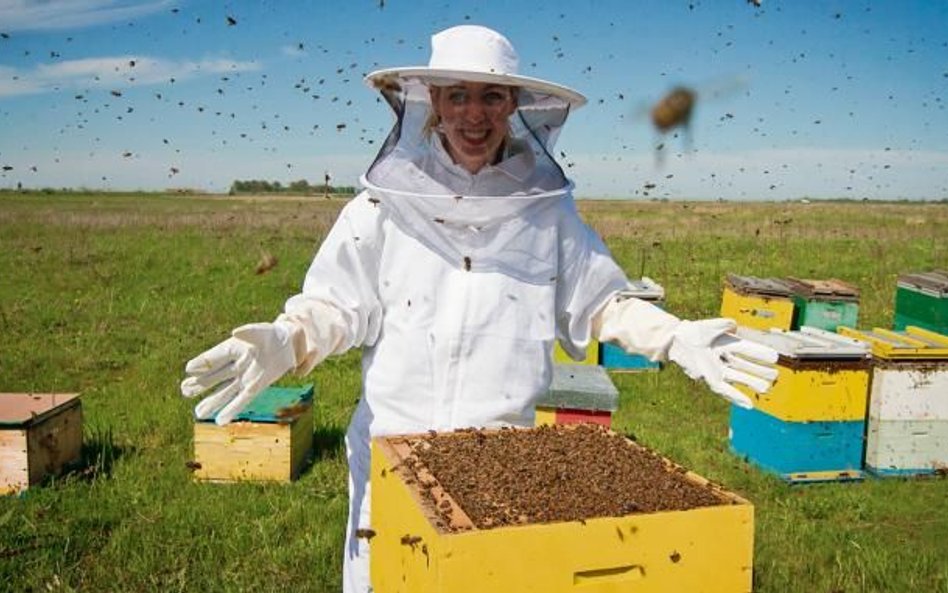 W ubiegłym roku z polskich pasiek zebrano łącznie ponad 24 tysiące ton miodu