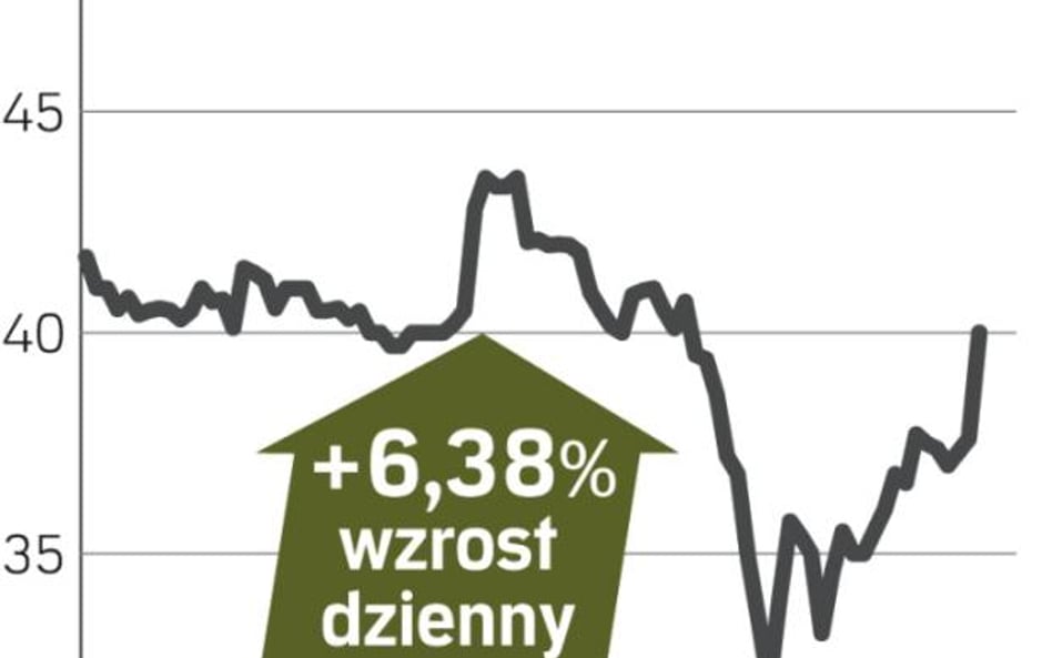 Pakiety z rynku czeskiego i słowackiego