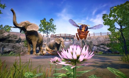Varsav Game Studios: Pszczoła podniosła notowania