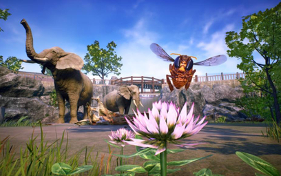 Varsav Game Studios: Pszczoła podniosła notowania