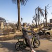 Mieszkaniec Los Angeles przygląda się zgliszczom swojego domu i samochodu po pożarach, które ogarnęł