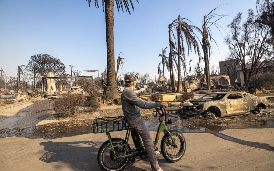 Mieszkaniec Los Angeles przygląda się zgliszczom swojego domu i samochodu po pożarach, które ogarnęł
